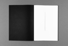 Ein senkrechter Strich auf dem Schmutztitel.