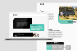 studio boldig Designagentur