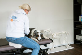 studio boldig Designagentur