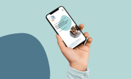 studio boldig Designagentur