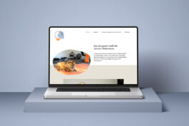 studio boldig Designagentur