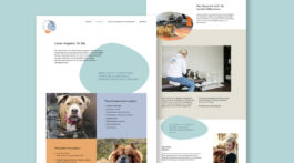 studio boldig Designagentur