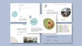 studio boldig Designagentur