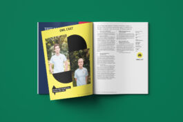 studio boldig Designagentur