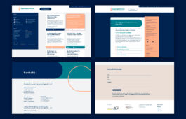 studio boldig Designagentur