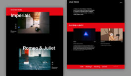 studio boldig Designagentur