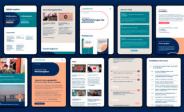 studio boldig Designagentur